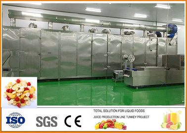 Κίνα Φρούτα και λαχανικά ξηρά - πιστοποίηση γραμμών παραγωγής ISO9001 φρούτων προμηθευτής