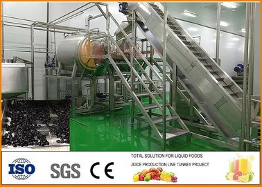 Κίνα Με το κλειδί στο χέρι βακκίνιο SS304 ξηρό - γραμμή παραγωγής cfm-PB-03-22T φρούτων προμηθευτής