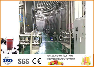 Κίνα Εξοπλισμός ζύμωσης ξιδιού φρούτων ριβησίων με το σύστημα ελέγχου PLC προμηθευτής
